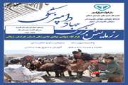 هفته دولت و خدمات رایگان دامپزشکی در مناطق کم برخوردار شهرستان های مانه و فاروج